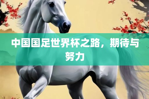 中国国足世界杯之路，期待与努力