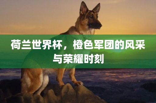荷兰世界杯，橙色军团的风采与荣耀时刻