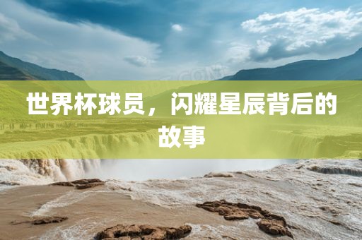世界杯球员，闪耀星辰背后的故事