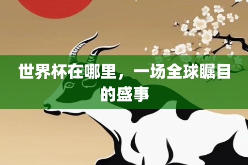 世界杯在哪里，一场全球瞩目的盛事