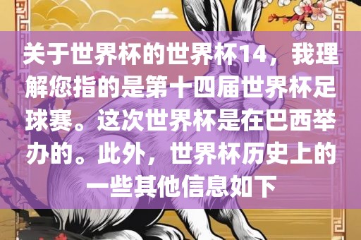 关于世界杯的世界杯14，我理解您指的是第十四届世界杯足球赛。这次世界杯是在巴西举办的。此外，世界杯历史上的一些其他信息如下