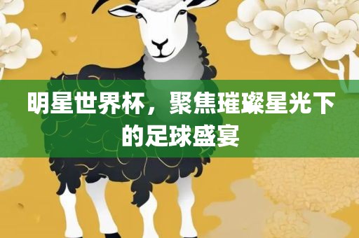 明星世界杯漯河市盈旭机械设备有限公司，聚焦璀璨星光下的足球盛宴