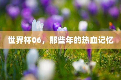世界杯06，那些年的热血记忆