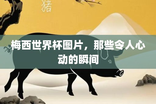 梅西世界杯图片，那些令人心动的瞬间