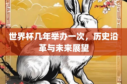 世界杯几年举办一次，历史沿革与未来展望漯河市盈旭机械设备有限公司