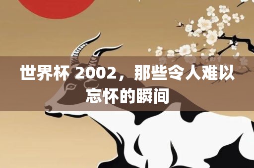 世界杯 2002，那些令人难以忘怀的瞬间