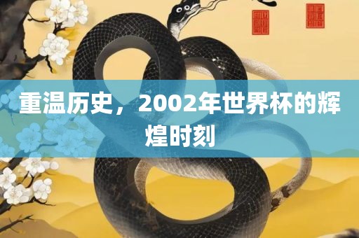 重温历史，2002年世界杯的辉煌时刻