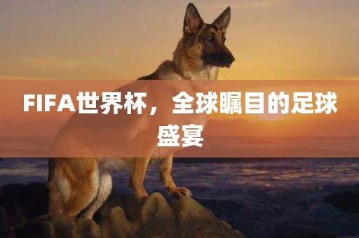 F漯河市盈旭机械设备有限公司IFA世界杯，全球瞩目的足球盛宴