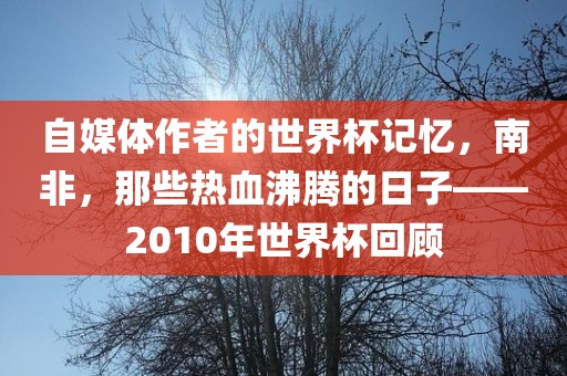 自媒体作者的世界杯记忆，南非，那些热血沸腾的日子——2010年世界杯回顾