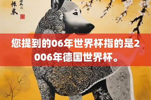 您提到的06年世界杯指的是2006年德国世界杯。