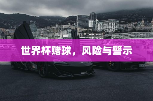 世界杯赌球，风险与警示