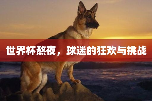 世界杯熬夜，球迷的狂欢与挑战