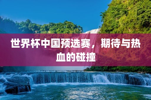 世界杯中国预选赛，期待与热血的碰撞漯河市盈旭机械设备有限公司