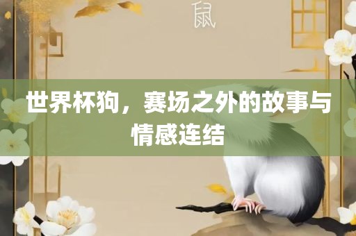 世界杯狗，赛场之外的故事与情感连结