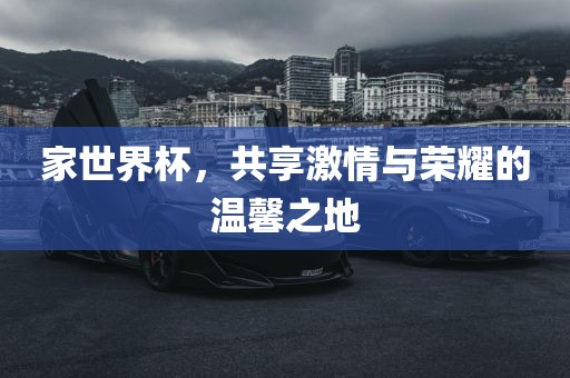 家世界杯，共享激情与荣耀的温馨之地
