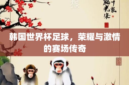 韩国世界杯足球，荣耀与激情的赛场传奇