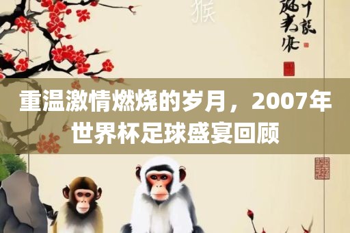 重温激情燃烧的岁月，2007年世界杯足球盛宴回顾