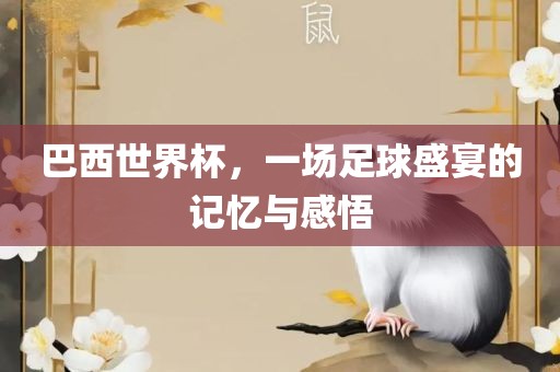 巴西世界杯，一场足球盛宴的记忆与感悟