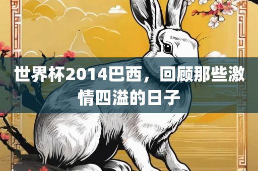 世界杯2014巴西，回顾那些激情四溢的日子