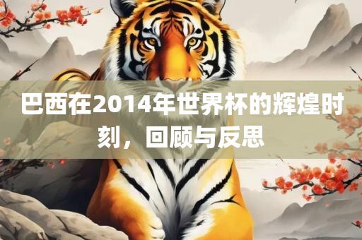 巴西在2014年世界杯的辉煌时刻，回顾与反思