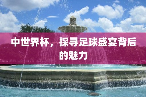 中世界杯，探寻足球盛宴背后的魅力