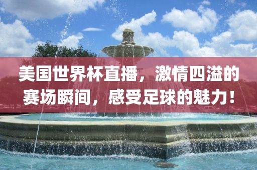 美国世界杯直播，激情四溢的赛场瞬间，感受足球的魅力！
