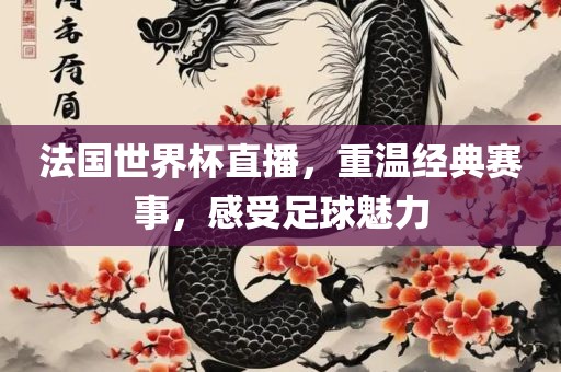 法国世界杯直播，重温经典赛事，感受足球魅力