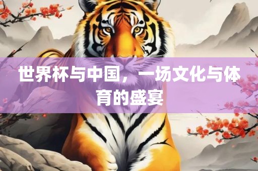 世界杯与中国，一场文化与体育的盛宴