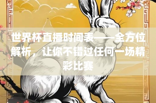 世界杯直播时间表——全方位解析，让你不错过任何一场精彩比赛