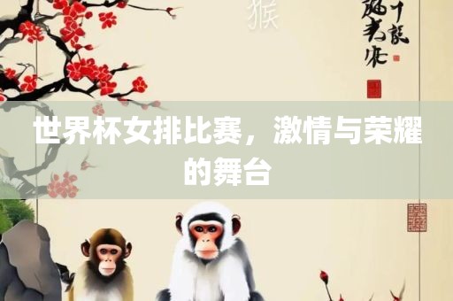 世界杯女排比赛，激情与荣耀的舞台