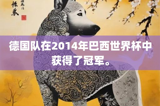 德国队在2014年巴西世界杯中获得了冠军。