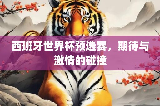 西班牙世界杯预选赛，期待与激情的碰撞