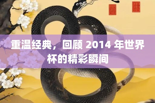重温经典，回顾 2014 年世界杯的精彩瞬间