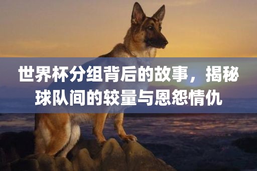 世界杯分组背后的故事，揭秘球队间的较量与恩怨情仇