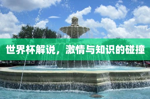 世界杯解说，激情与知识的碰撞