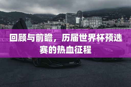 回顾与前瞻，历届世界杯预选赛的热血征程