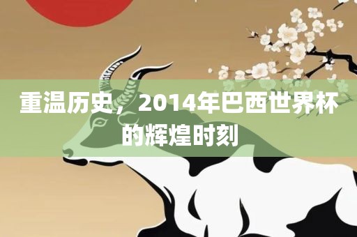 重温历史，2014年巴西世界杯的辉煌时刻