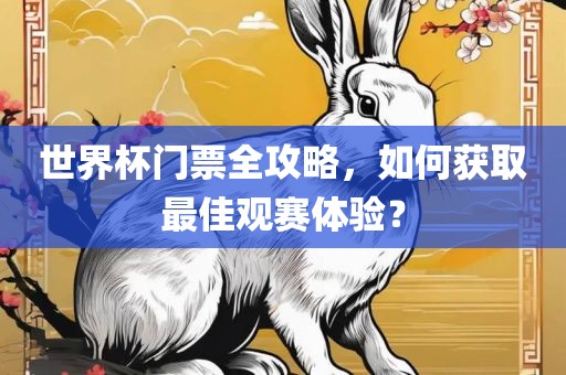 世界杯门票全攻略，如何获取最佳观赛体验？