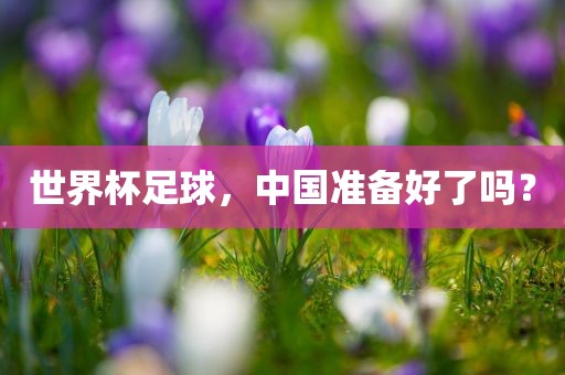 世界杯足球，中国准备好了吗？
