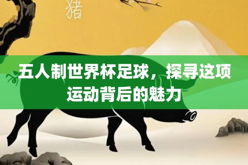 五人制世界杯足球，探寻这项运动背后的魅力