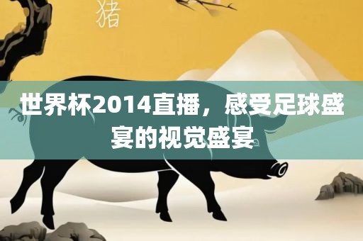 世界杯2014直播，感受足球盛宴的视觉盛宴