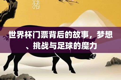 世界杯门票背后的故事，梦想、挑战与足球的魔力