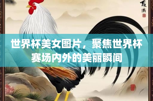 世界杯美女图片，聚焦世界杯赛场内外的美丽瞬间