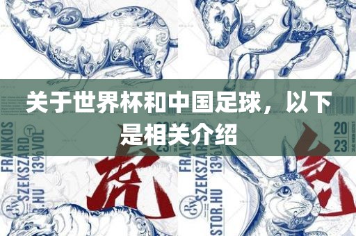 关于世界杯和中国足球，以下是相关介绍
