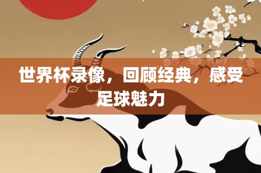 世界杯录像，回顾经典，感受足球魅力