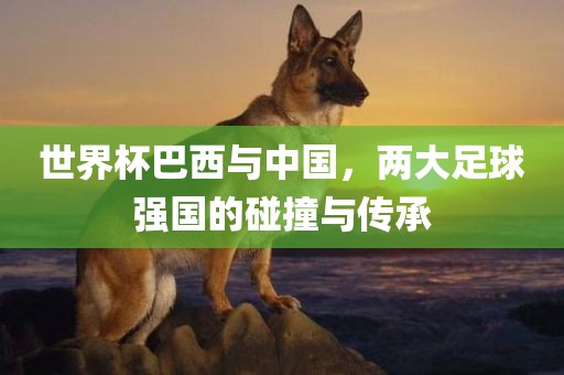 世界杯巴西与中国，两大足球强国的碰撞与传承
