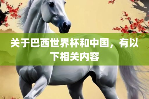 关于巴西世界杯和中国，有以下相关内容