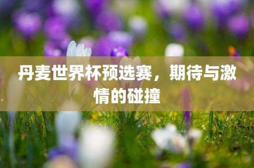 丹麦世界杯预选赛，期待与激情的碰撞
