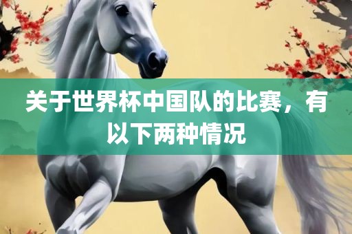 关于世界杯中国队的比赛，有以下两种情况