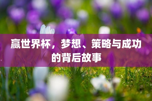 赢世界杯，梦想、策略与成功的背后故事